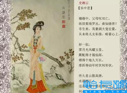 红楼梦人物关系图(红楼梦人物关系一副图)