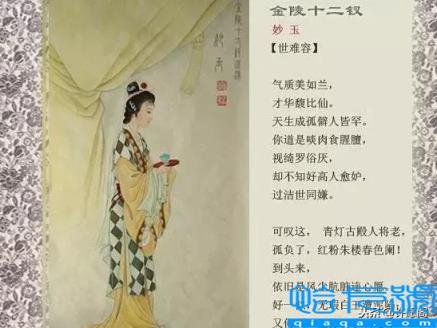 红楼梦人物关系图(红楼梦人物关系一副图)