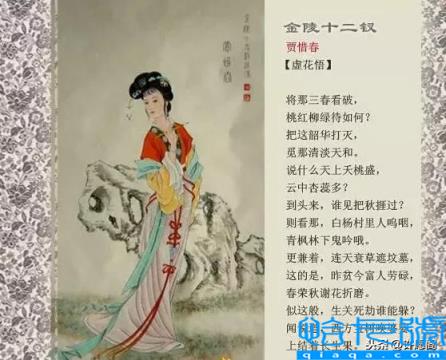 红楼梦人物关系图(红楼梦人物关系一副图)