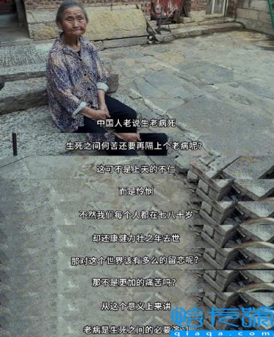 二舅治好了我的精神内耗经典台词(二舅治好了我的精神内耗观后感)