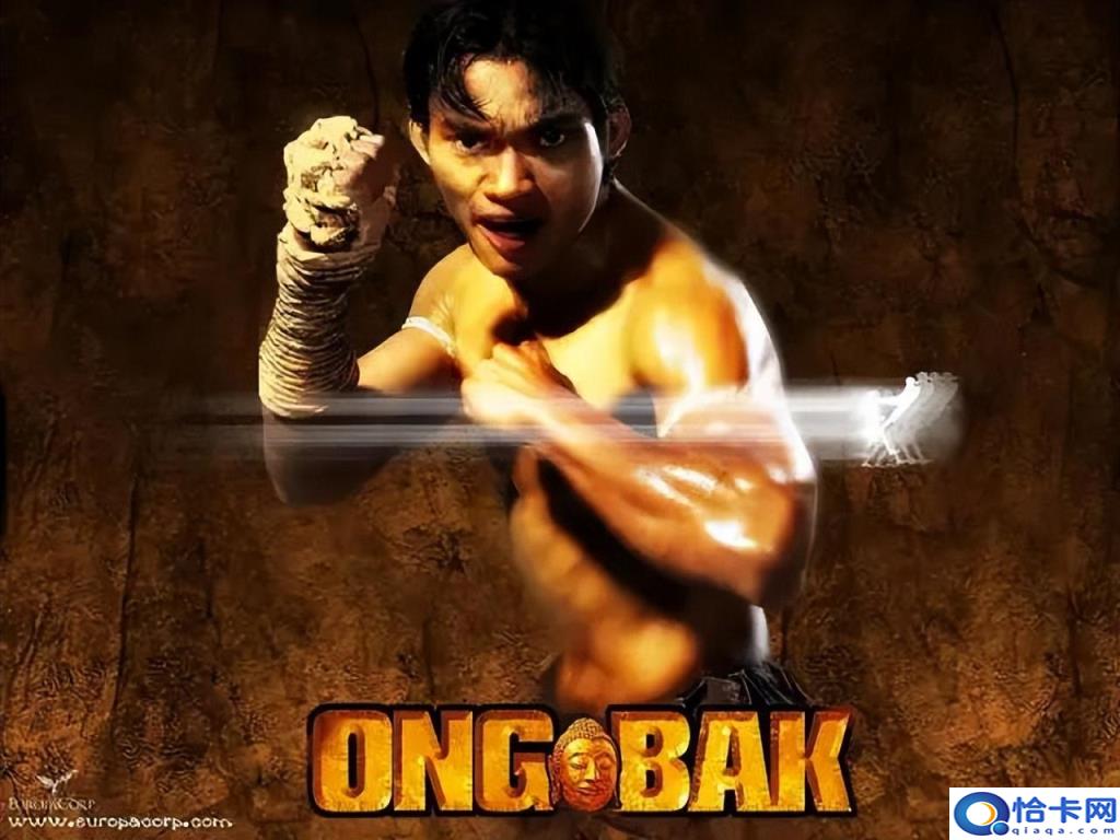 动作片推荐电影（值得看的动作电影推荐）