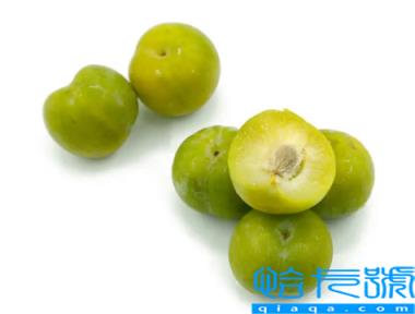 李子有减肥的功效吗(减肥期间吃李子好吗)