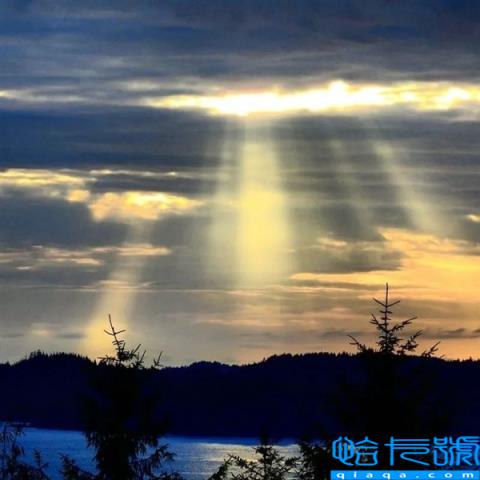 小红书上的这条热梗 把达尔文送上了热搜