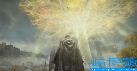 《老头环》太卡怎么办？网友砍掉黄金树加了15帧