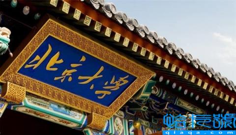 陈春花辞职 北大发声明：终止其聘用合同