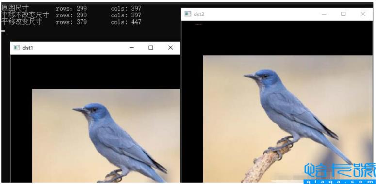 怎么使用opencv实现图像平移