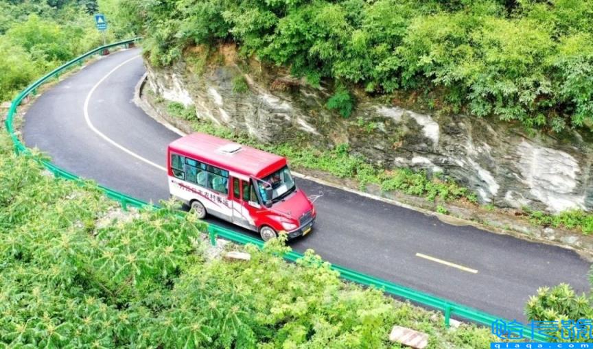 出租车新政策是什么(出租车保险新政策规定)