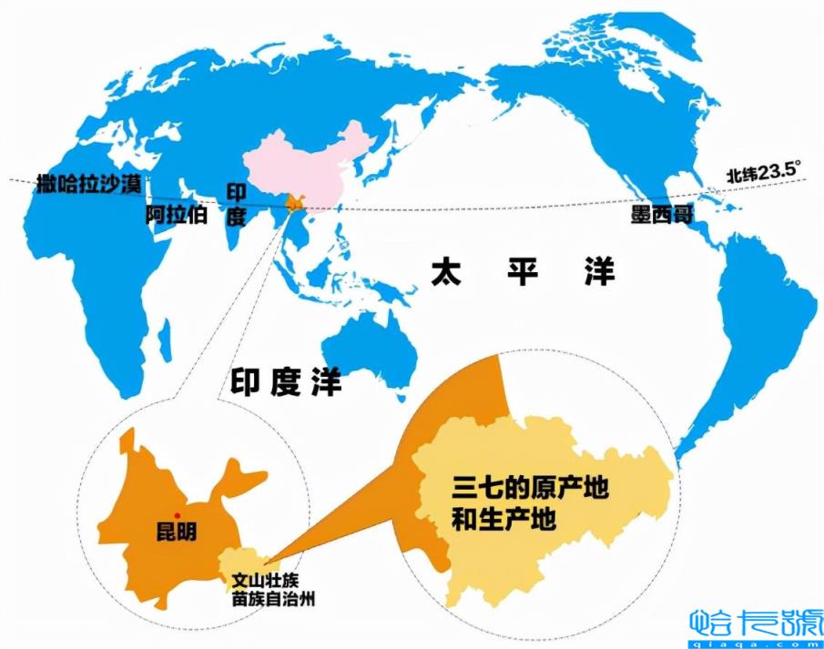 什么牌子的三七粉哪家好（吃了几年三七粉得了癌症）