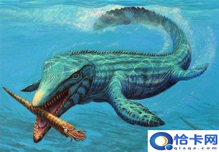 巨齿鲨是海洋中最大的动物吗(巨齿鲨真的是海洋里的霸主吗-)