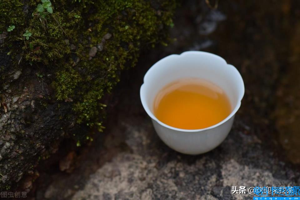 福建茶叶品牌十大名茶(福建茶叶品牌排行榜前10名)