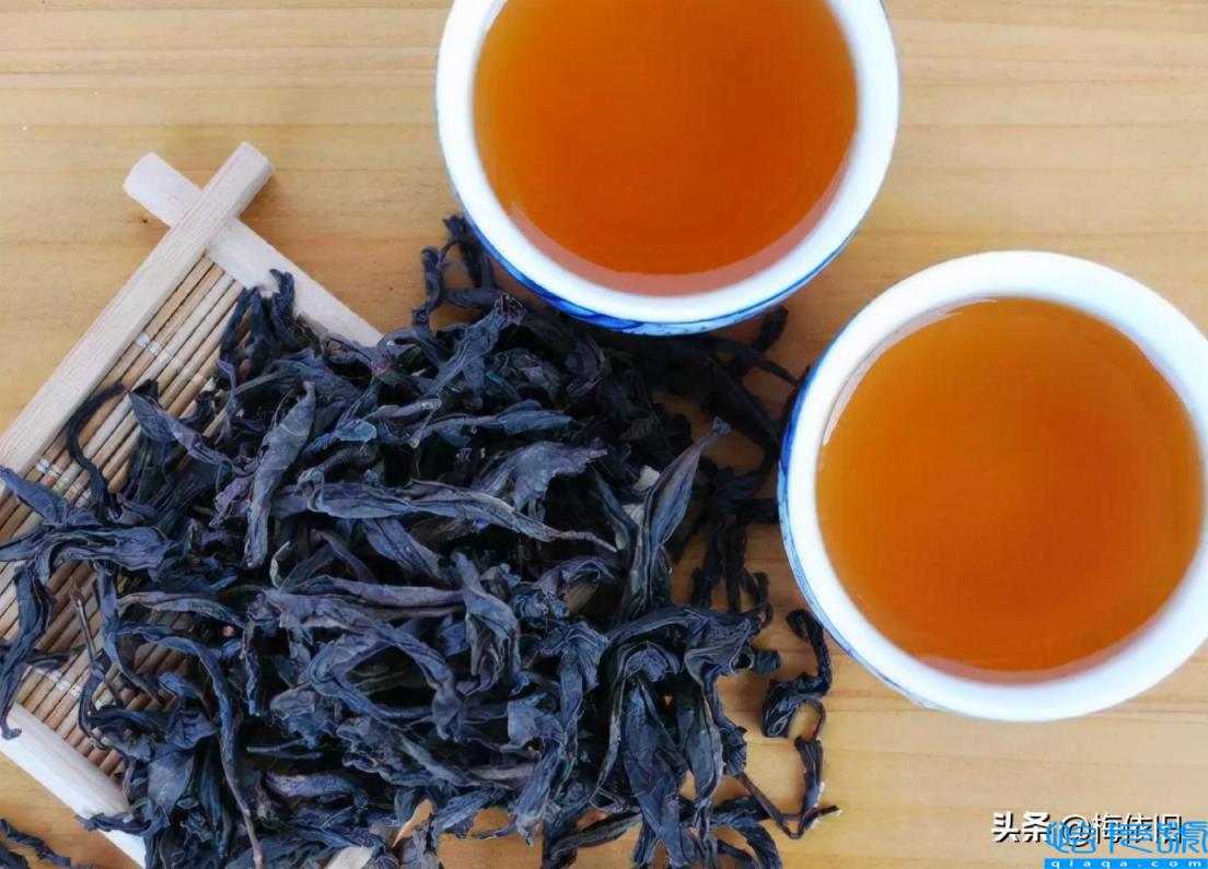 福建茶叶品牌十大名茶(福建茶叶品牌排行榜前10名)