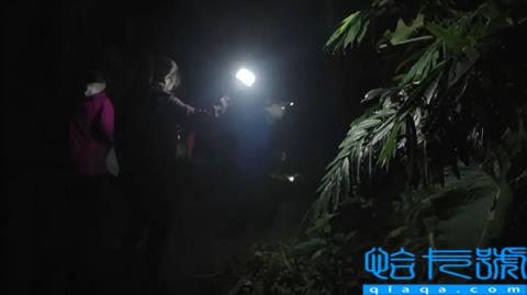 蜕皮一次长两节：蜈蚣到底能长到多大？真能超过1米？