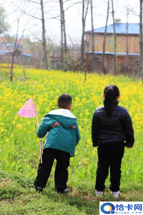 儿童急走追黄蝶飞入菜花无处寻翻译(儿童急走追黄蝶飞入菜花无处寻描绘画面)