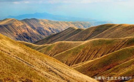 地球上的伤疤非洲大裂谷(撒哈拉以南非洲东非大裂谷)