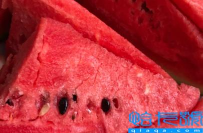 黑美人西瓜为什么叫黑美人(黑美人西瓜分几种)
