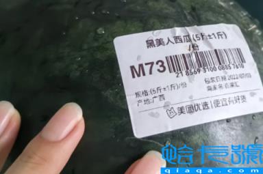 黑美人西瓜什么时候种植最好(黑美人西瓜亩产量一般是多少)