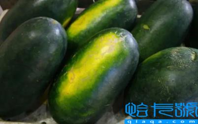 黑美人西瓜有毒吗能不能吃(黑美人西瓜吃了会上火吗)