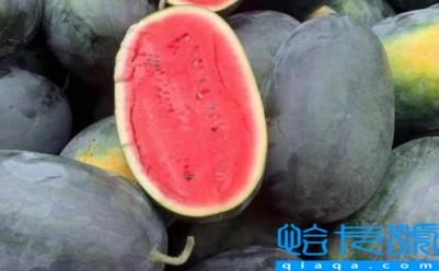 黑美人西瓜有毒吗能不能吃(黑美人西瓜吃了会上火吗)