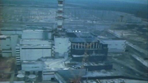 切尔诺贝利变异人是真的吗(切尔诺贝利的动物变异了吗)