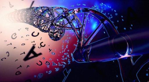 切尔诺贝利变异人是真的吗(切尔诺贝利的动物变异了吗)