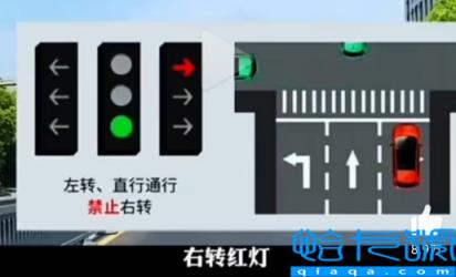 新版红绿灯信号灯图解最新(如何看待新版红绿灯)