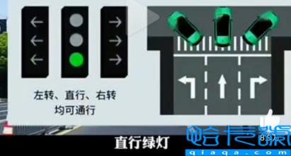 新版红绿灯信号灯图解最新(如何看待新版红绿灯)