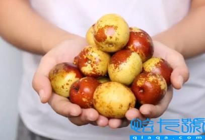 冬枣一次最多吃多少颗(冬枣一天不宜超过几个)