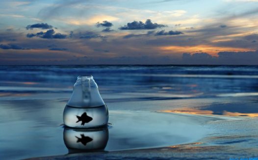 方正电脑培训学校怎么样(方正电脑怎么样)