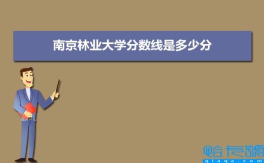 南京林业大学分数线2021是多少分(附最低分和最低位次)