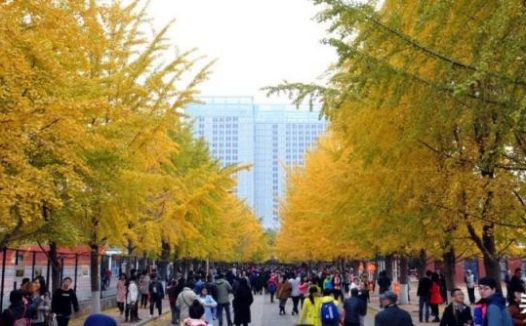 全国十大最差211大学排名(国内最弱的10所211大学)