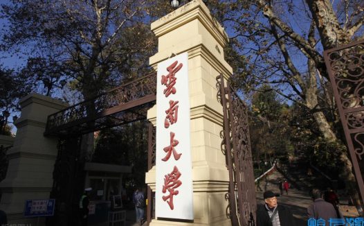 云南大学录取分数线(2021年各省市各批次高考分数线)