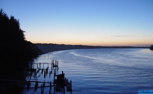 2021高考作文(2021)