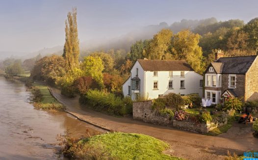 顾城的诗歌赏析(顾城的经典诗歌6首)