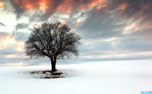 曹植的诗词有哪些(曹植的诗词代表作10篇)