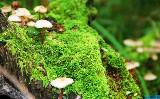 化妆品销售策划方案(2022年化妆品营销策划方案)