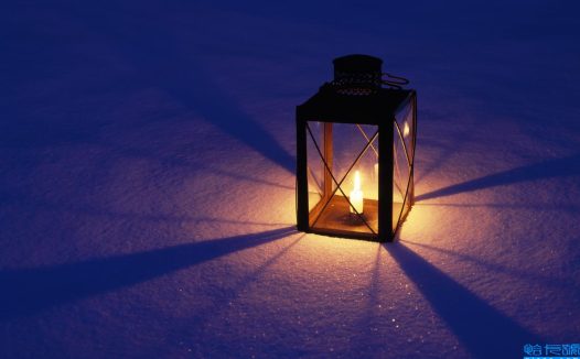 当代诗词精品欣赏(中国当代诗词佳作)