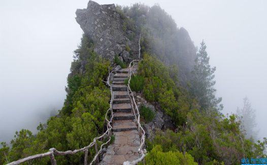 关于戴望舒的现代诗作品(戴望舒的现代诗歌大全)