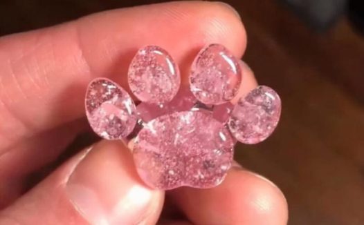 意林作文素材在线阅读高中(高考版意林素材作文)