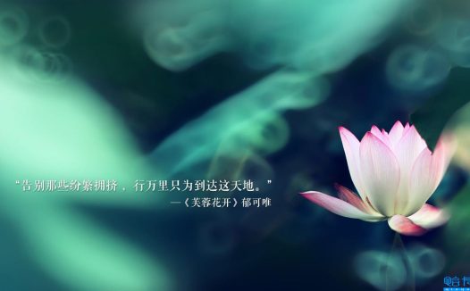 表达感谢感激感恩的话的句子经典语录(表达感谢感激感恩的话语)