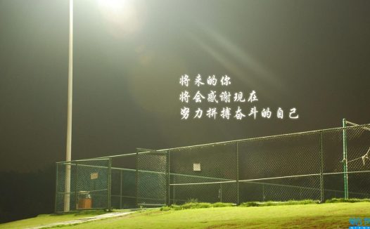 王者荣耀妲己全部台词(王者荣耀妲己经典台词)